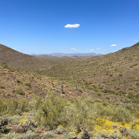 Meet your Posher, Amanda - Picture 1 of 1